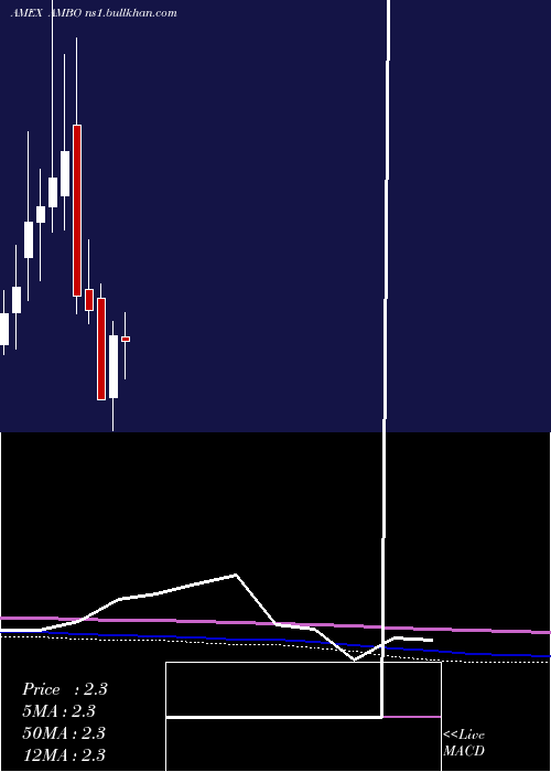  monthly chart AmbowEducation