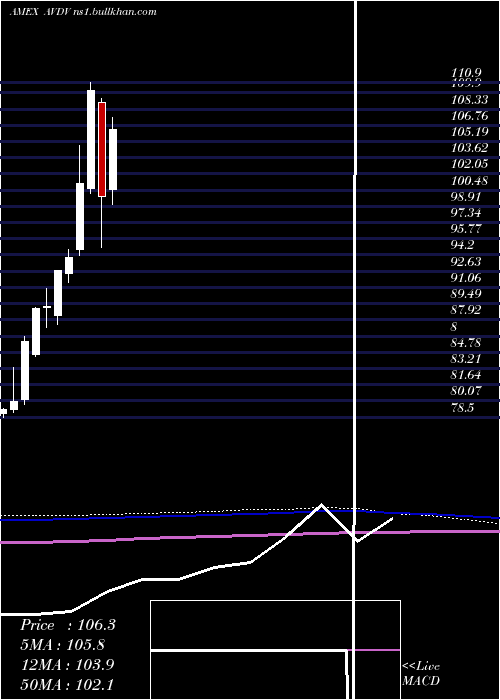  monthly chart AvantisInternational