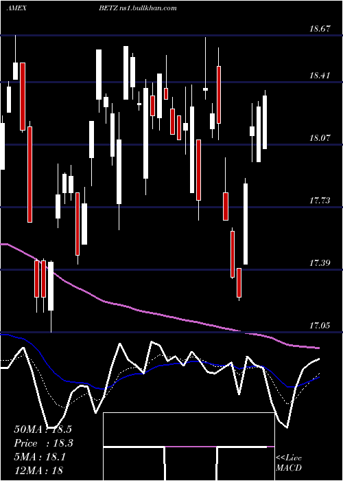  Daily chart RoundhillSports