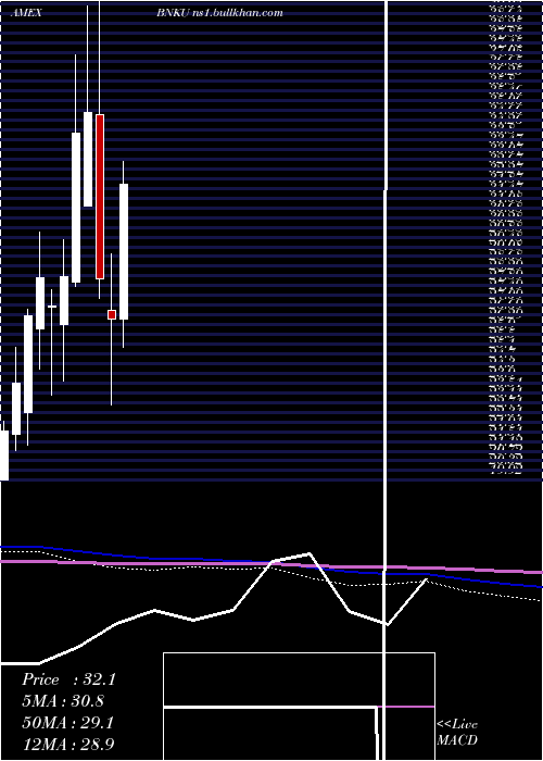  monthly chart Microsectors3x