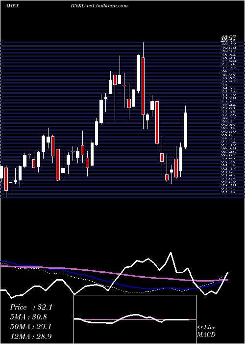  weekly chart Microsectors3x