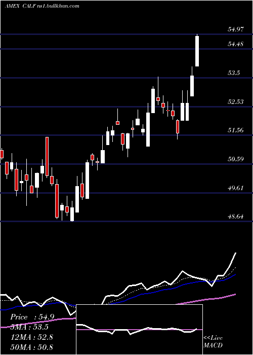  Daily chart PacerUs