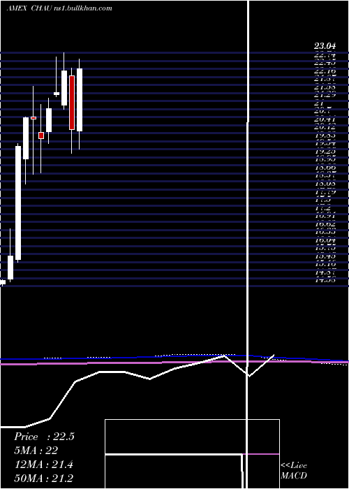  monthly chart DirexionDaily
