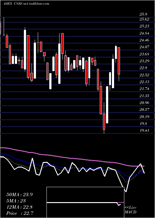  Daily chart AmplifySeymour