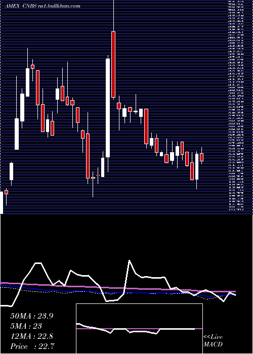  weekly chart AmplifySeymour