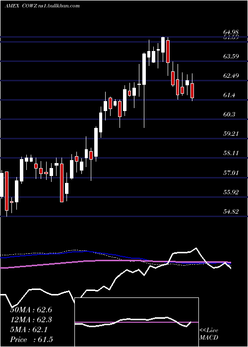  weekly chart PacerUs