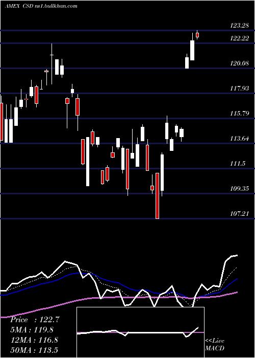  Daily chart SpinfGuggenheim