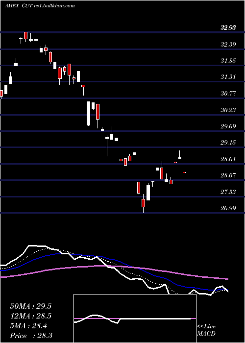  Daily chart TimberGuggenheim