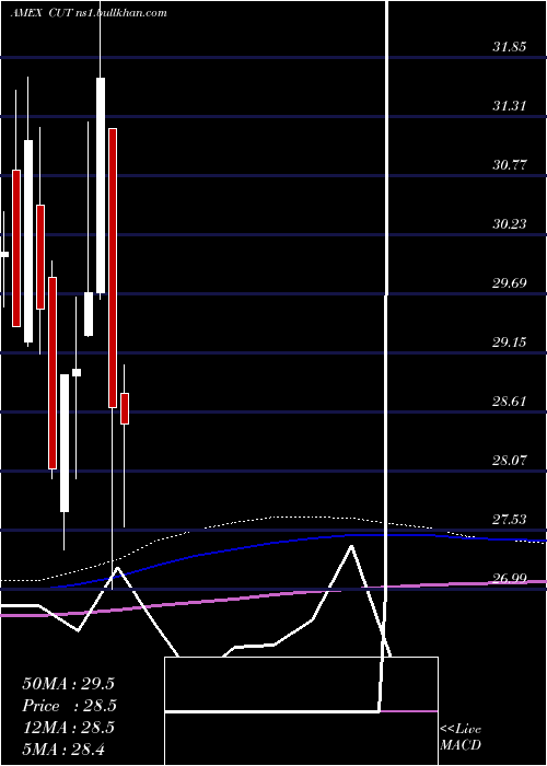  monthly chart TimberGuggenheim