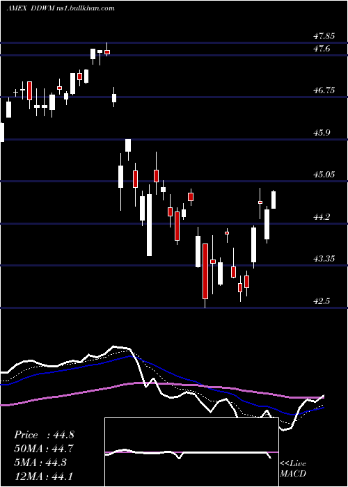  Daily chart WisdomtreeDynamic