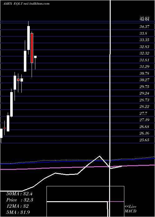  monthly chart WorkplaceEquality