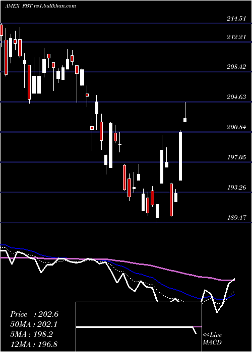  Daily chart NyseArca