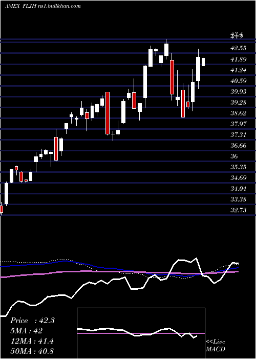  weekly chart JapanHedged