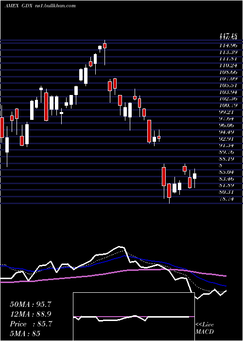  Daily chart GoldMiners