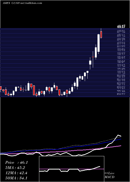  weekly chart DirexionDaily