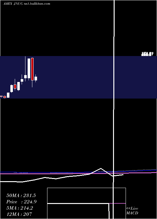  monthly chart DirexionDaily