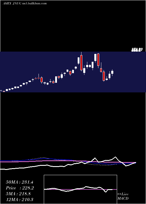  weekly chart DirexionDaily