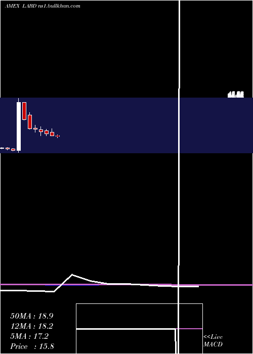  monthly chart DirexionDaily