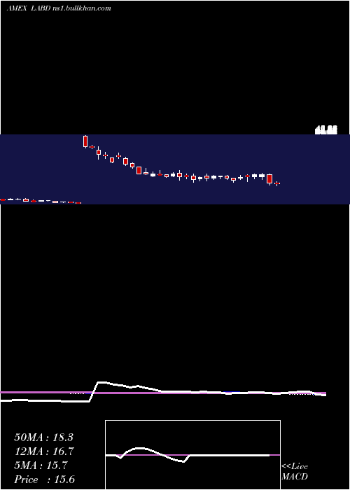  weekly chart DirexionDaily