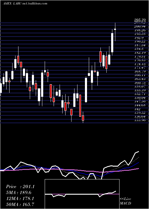  Daily chart DirexionDaily