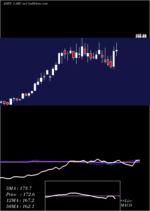  weekly chart DirexionDaily