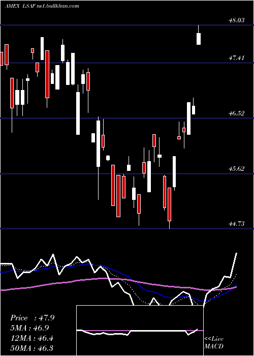  Daily chart LeadersharesAlphafactor