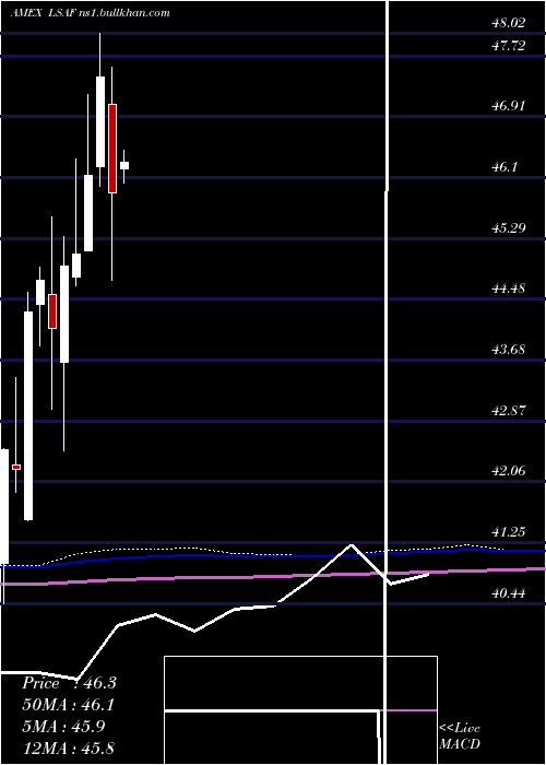  monthly chart LeadersharesAlphafactor