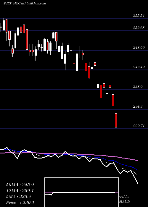  Daily chart Megacap300