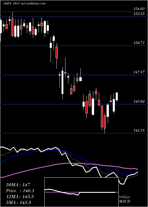  Daily chart Megacap300