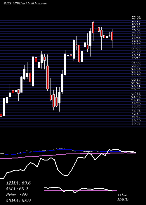  weekly chart DirexionDaily