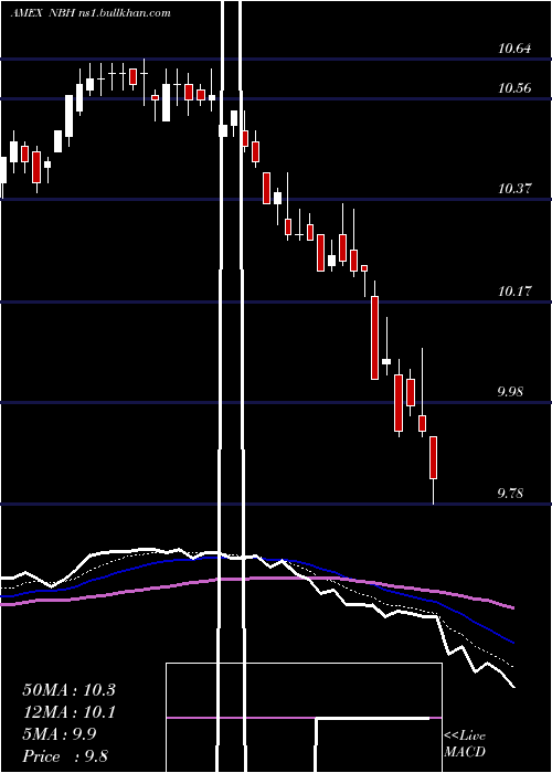  Daily chart NeubergerBerman
