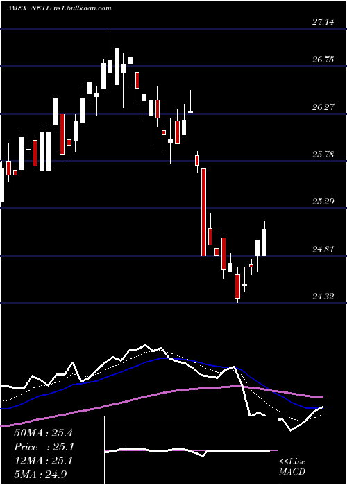  Daily chart NetleaseCorporate