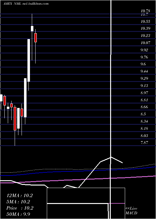  monthly chart NeubergerBerman