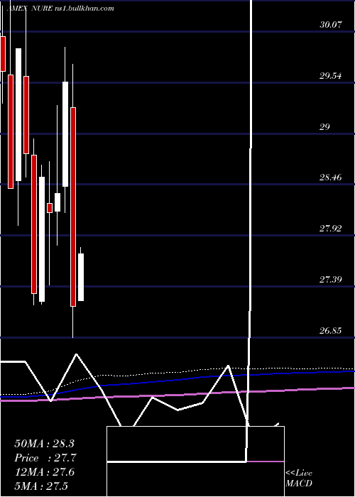  monthly chart NusharesShort