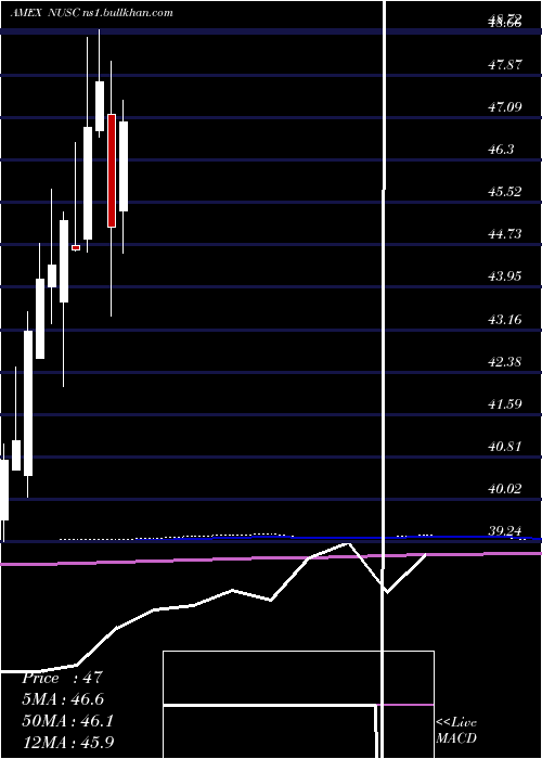  monthly chart NusharesEsg