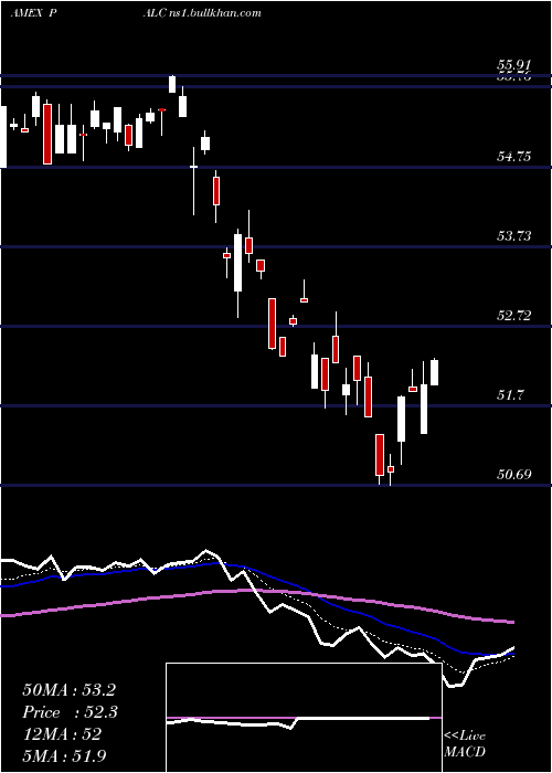  Daily chart PacerLarge