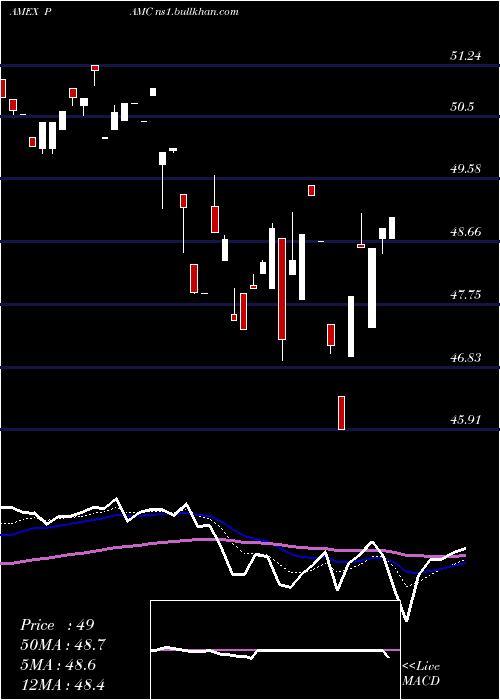  Daily chart PacerLunt