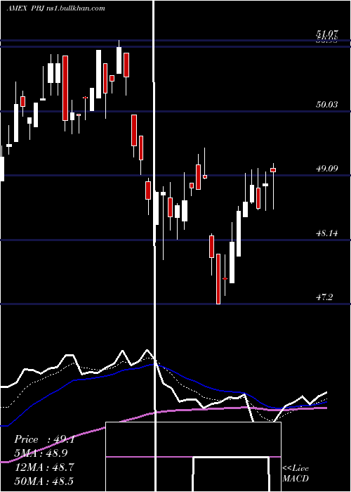  Daily chart DynamicFood