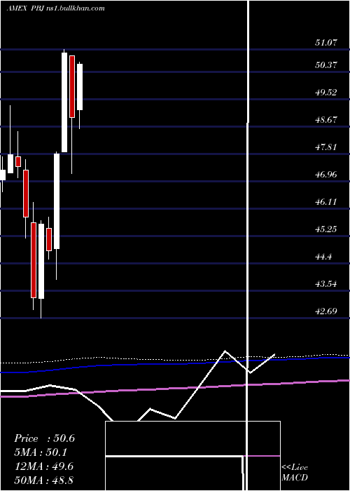  monthly chart DynamicFood