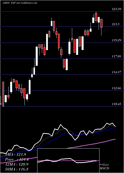  Daily chart DynamicPharmaceuticals