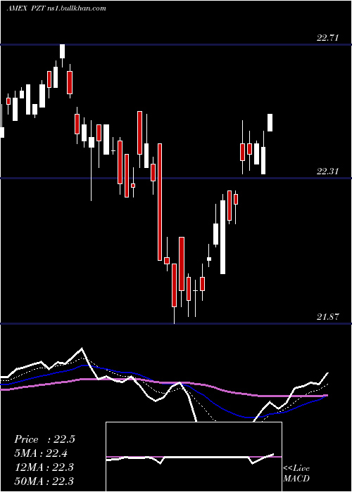  Daily chart InsuredNew