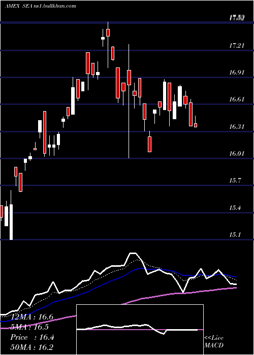  Daily chart ShippingGuggenheim