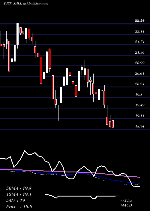  weekly chart DirexiionDaily