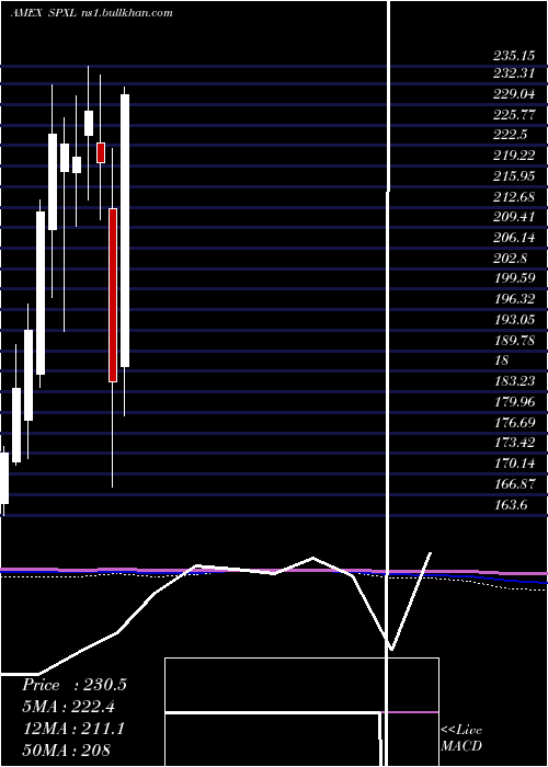  monthly chart DirexionDaily