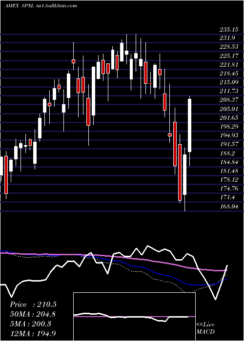  weekly chart DirexionDaily