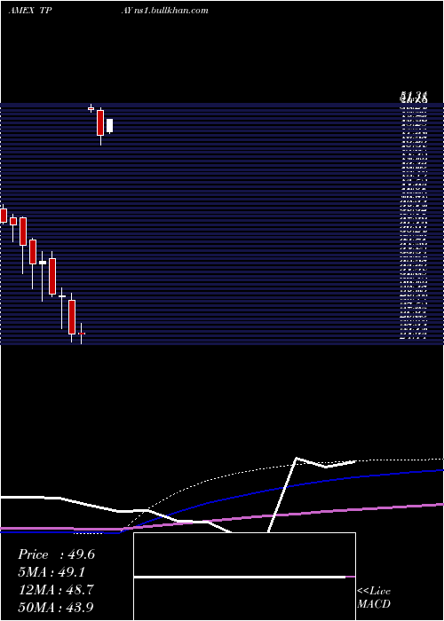  monthly chart TortoiseDigital