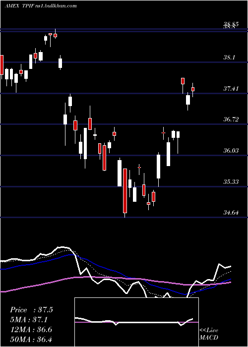  Daily chart TimothyPlan