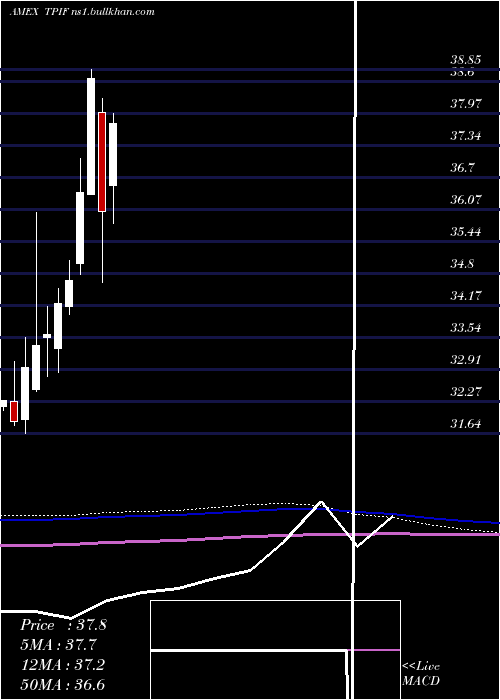  monthly chart TimothyPlan