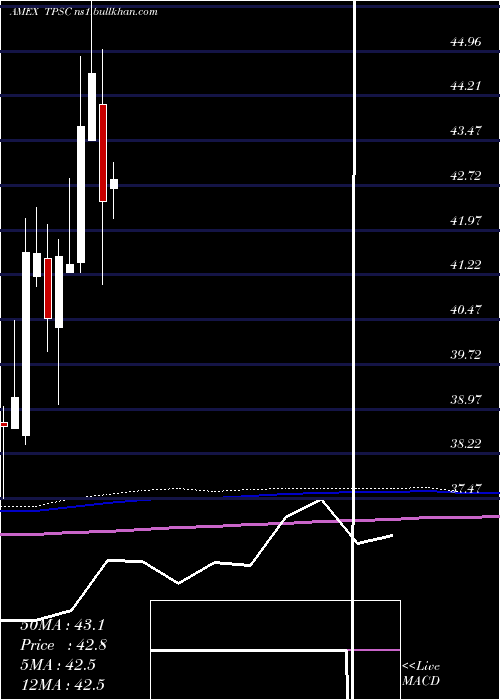  monthly chart TimothyPlan