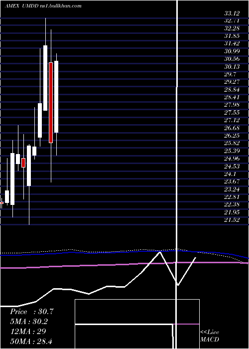  monthly chart UltraproMidcap